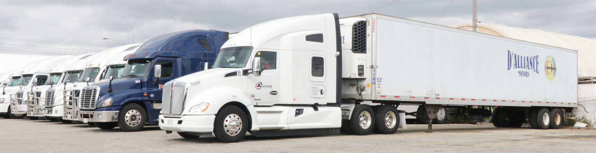 Dalliance Motors | Specialized in freight trasnportation