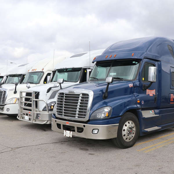 Freight Transportation services